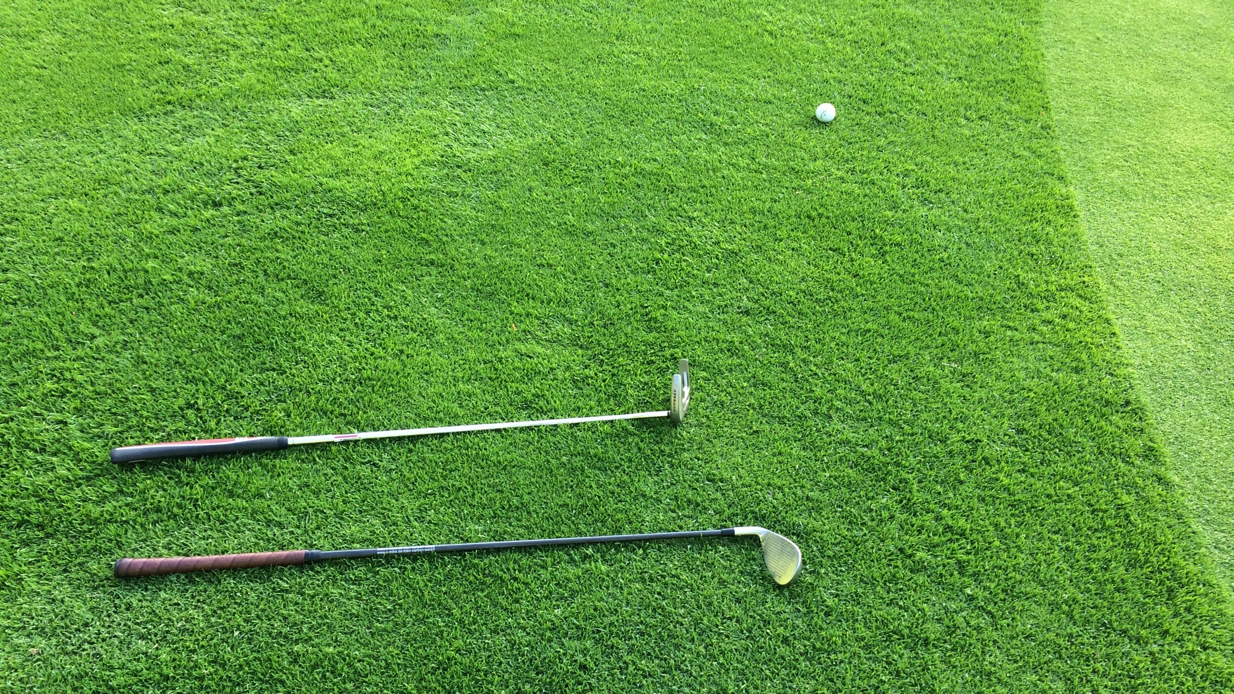 two golf clubs on grass with golf ball